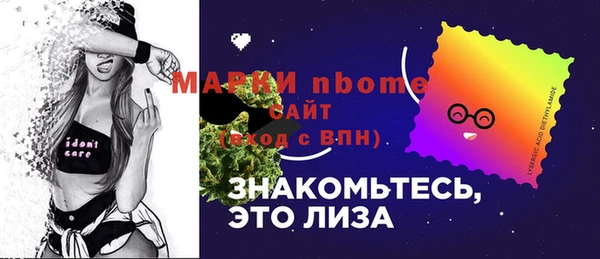 ешки Няндома