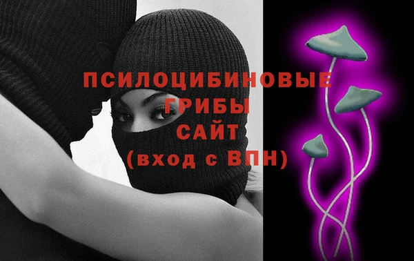 ешки Няндома