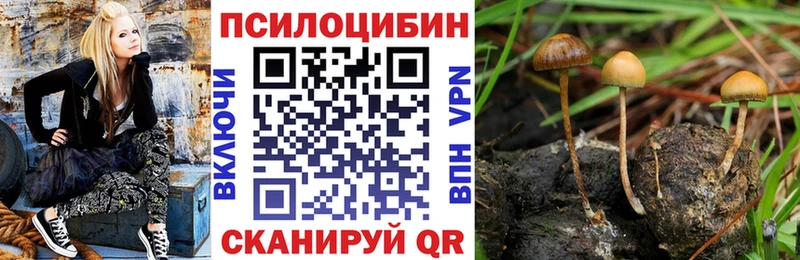 Псилоцибиновые грибы Magic Shrooms  Фокино 